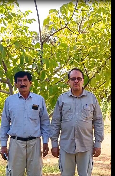 اجرای طرح هابیل